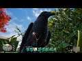 Can you Fight or Kill the Crow in Grounded - Is the Bird Hostile?