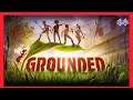Grounded | First Look