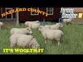 Hazzard County Ep 53     Wool and Wheat is todays projects     Farm Sim 19
