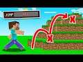 Minecraft BUT Jumping Is BANNED! (impossible)