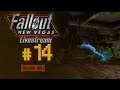 Pelataan Fallout: New Vegas - Livestream - Osa 14 [Puutarha Vaultti]