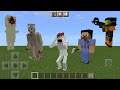 SCP Paradox V3 ADDON in Minecraft PE