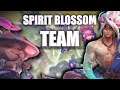 Spirit Blossom Team