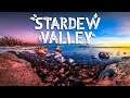 Stardew Valley - Barnacle Bay #49 (Penultimate Episode)
