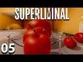 Superliminal Part 5 - Multiplicity
