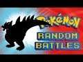 The Battle You've All Been Waiting For | Pokemon Sword and Shield RanBats