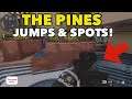 The Pines: Best Jump Spots & Lines of Sight! (The Pines Guide) - Black Ops Cold War
