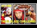 VF5US- THE EL BLAZE CHALLENGE! (Virtua Fighter 5: Ultimate Showdown)- Lau Chan Matches, Gaming, FGC.
