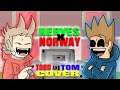 An Accidental Bop | Nerves x Norway but it's a Tord and Tom | FNF ANIMATION