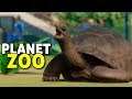 Comendo junto com as tartarugas | Planet Zoo #03 - Sandbox Gameplay PT-BR