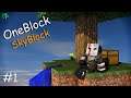 Demoon si blocul singuratic - OneBlock Skyblock - Ep: 01