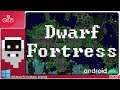 Dwarf Fortress PC Android 2021