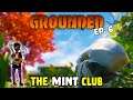 GROUNDED | The Mint Club | EP6