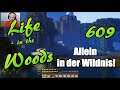 LIFE IN THE WOODS 609 🌳 Wiese der gebrochenen Herzen