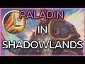 PALADIN Performance Review: Holy - Ret - Prot & How are they now compared to BfA - Better or Worse?