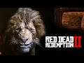 УКРОТИТЕЛЬ ДИКИХ ЖИВОТНЫХ ► Red Dead Redemption 2 #23