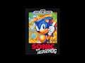 Sonic X - Gotta go fast (Sonic The Hedgehog-Style)