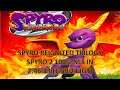 Spyro Reignited Trilogy Spyro 2 100% NLS Speedrun in 2:46:33 (1:59:24 IGT)