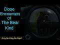 Close Encounters Of The Bear - Zday on DayZ