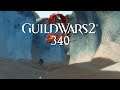 Guild Wars 2 [LP] [Blind] [Deutsch] Part 340 - Übermäßige Lindwürmer