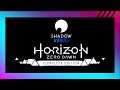 HORIZON ZERO DAWN - BENCHMARK 1440P - SHADOW INFINITE