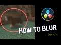 How To Blur Objects in DaVinci Resolve 17 | DaVinci Resolve Tutorial