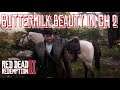 How to Get the Buttermilk Buckskin Kentucky Saddler Horse in PS4 Chapter 2