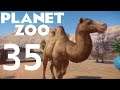 Let's Play Planet Zoo: Franchise (Part 35) - Camel Carousel