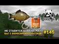 Не ставится бойл на мах? Баг с Волосяной оснасткой!? - Русская Рыбалка 4 #145