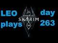 LEO plays Skyrim VR day by day  Day 263  I skipped a bunch of dialogue