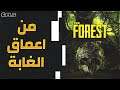 The Forest | بث من قلب الغابة
