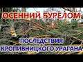 Осенний бурелом: Последствия кропивницкого урагана (2020)