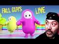Fall Guys / Livestream / Its like Mario Party!!!