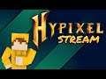 Hypixel Livestream with Fans!