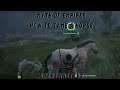 Myth Of Empires - How to Tame a Horse for Beginners - Walkthrough - Guide - PC
