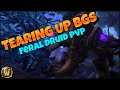 Tearing Up Battlegrounds! - Feral Druid PvP - WoW Shadowlands 9.0.2