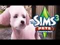 THE FINAL CHAPTER 😭😭 // Sims 3 PETS [PART 30]