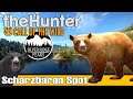 The Hunter Call of the Wild: Schwarzbären Spot an den Seen | Silver Ridge Peaks Deutsch