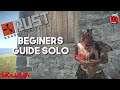 how to Begin a wipe |The Rust 🏹 console Ultimate guide For beginners & veterans part 1