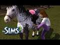 The Sims 3 #99 Трус