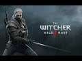 The Witcher 3 Wild Hunt - Game Playthrough - Episode 224/234