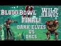 Wild Hawgz grand final! Dark Elves (the Sage) vs Orcs (Gojira) - Blood Bowl 2