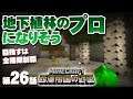 【マイクラ】‐第26話‐ 地下植林のプロゲーマーになりたい【西澤帝国の野望】