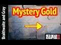 Braithwaite and Gray Secret Mystery Gold in Red Dead Redemption 2 (RDR2) Where the death adder spits