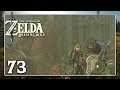 Der Akkala Turm | The Legend of Zelda Breath of the Wild #73