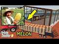 Farming Simulator 19 - My Hobby Garden! How to grow Melon? - Gardening Tips!