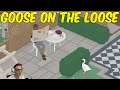 GOOSE ON THE LOOSE - Untitled Goose Game