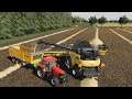 HollandScheveld  EP#13 | Farming Simulator 19 Timelapse | FS19 Timelapse | Harvest, Cows, Spraying.
