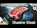 HOW TO MAKE A SHADOW STEAK SAUTE! Ark: Survival Evolved [One Minute Tutorials]