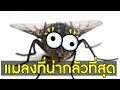 แมลงที่ตบยากที่สุดในโลก - Slap The Fly